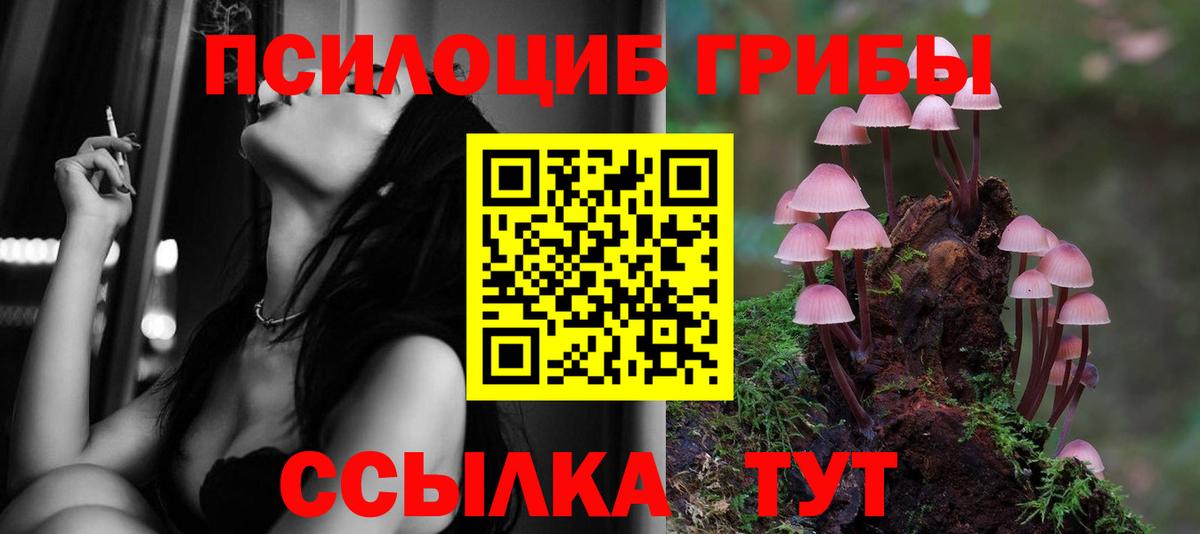 Галлюциногенные грибы мицелий  Галлюциногенные грибы прущие грибы  Вход с VPN  Лысьва 