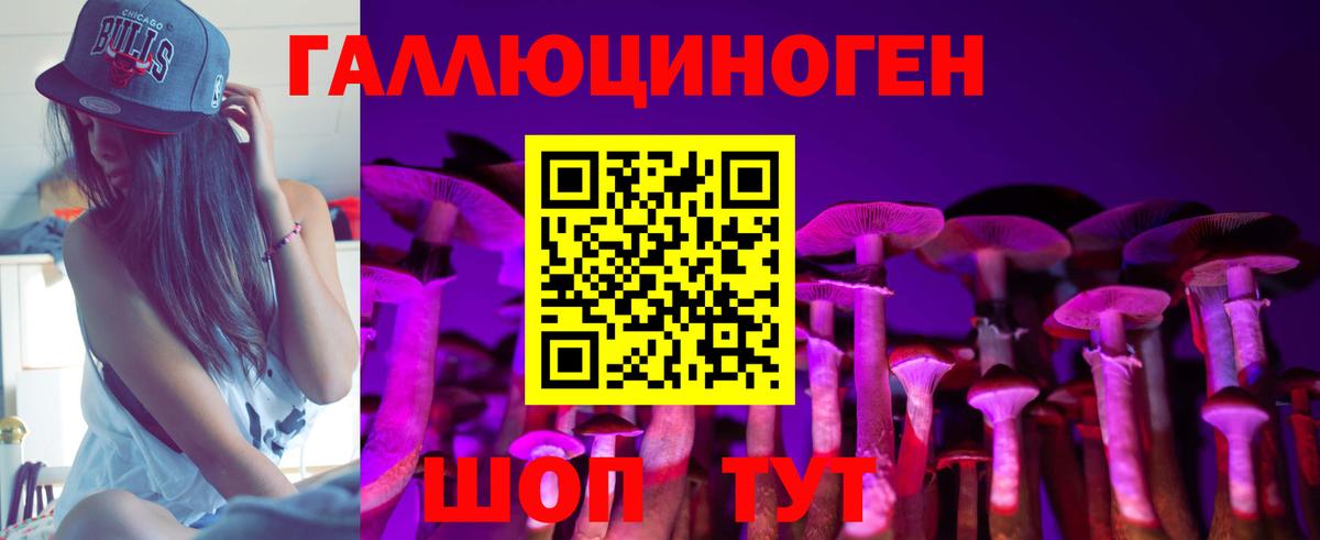 Галлюциногенные грибы Psilocybine cubensis Лысьва