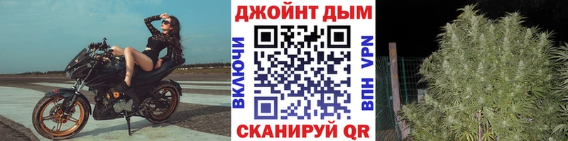 Бошки Шишки Amnesia  Лысьва 