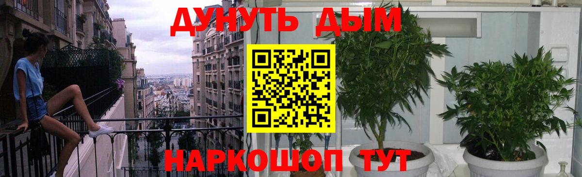 Бошки Шишки план Лысьва